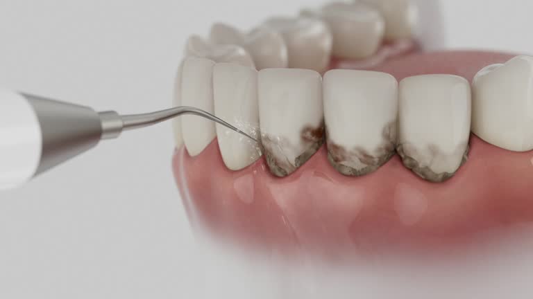 Reliable Dental contractor in Capitola, CA by Dentist Open Now